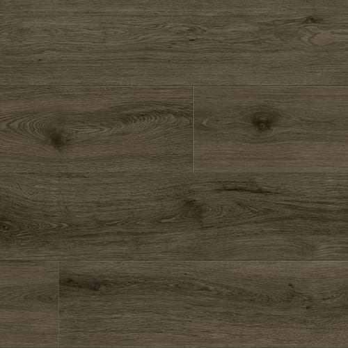 Anchor Grey